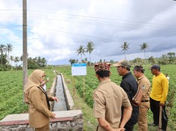 Banyuwangi Pakai Skema Padat Karya Bangun 123 Km Jaringan Irigasi