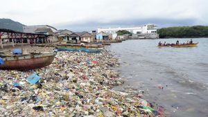 Jorok! Sampah Plastik Cemari Pantai di Bandar Lampung