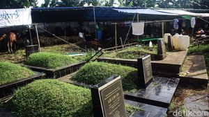 Manfaatkan Lahan Pemakaman Jadi Kandang Sementara Hewan Kurban