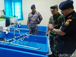 Rumah Penyimpanan Benih Lobster di Lampung Masuk Jaringan Internasional