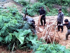 Bisnis Tambang Emas Ilegal Kembali Bergeliat di Sukabumi Bisnis Tambang Emas Ilegal Kembali Bergeliat di Sukabumi