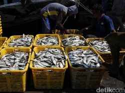 4 Ton Ikan Impor Ilegal dari Malaysia Dibagikan ke Warga Batam