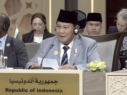 Relawan Apresiasi Pidato Prabowo di KTT Gaza soal Kemerdekaan Palestina