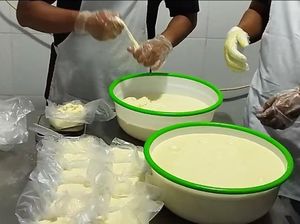 Keju Mozzarella Olahan Susu dari Dusun Brau Kota Batu Tembus Pasar Bali Keju Mozzarella Olahan Susu dari Dusun Brau Kota Batu Tembus Pasar Bali