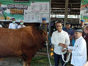 Tinjau RPH Cakung Jelang Idul Adha, Heru Budi Serahkan Sapi Kurban 1 Ton