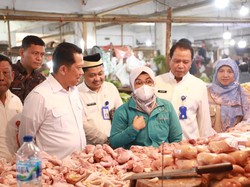 Pj Bupati Tangerang Temukan Kenaikan Harga Ayam Potong di Pasar Gudang