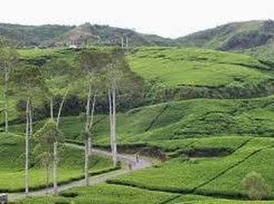 Glamping di Agrowisata Jamus Disuguhi Cantiknya Pemandangan Alam Ngawi Glamping di Agrowisata Jamus Disuguhi Cantiknya Pemandangan Alam Ngawi