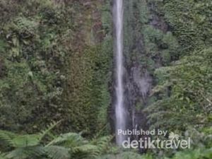 Wisata Air Terjun Tancak Jember: Daya Tarik, Lokasi, hingga Tiket Masuk