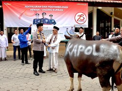 Kapolda Jatim Kurban 10 Sapi dan 17 Kambing untuk Warga Banyuwangi