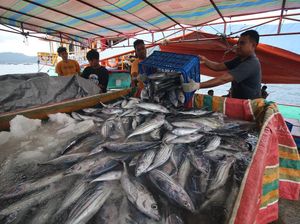 Investasi Sektor Kelautan Perikanan Tembus Rp 2,38 T Kuartal I 2025 Investasi Sektor Kelautan Perikanan Tembus Rp 2,38 T Kuartal I 2025