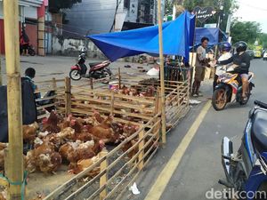Pedagang Ayam Potong Padati Bahu Jalan Bawakaraeng Makassar Jelang Lebaran