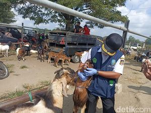 Ratusan Petugas Diterjunkan Pantau Kesehatan Hewan Kurban di Blitar Ratusan Petugas Diterjunkan Pantau Kesehatan Hewan Kurban di Blitar