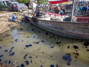 Tumpahan Minyak Mentah Cemari Sungai di Indramayu Tumpahan Minyak Mentah Cemari Sungai di Indramayu