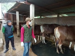 Dispertan Lubuklinggau Imbau Warga untuk Tidak Buang Limbah Kurban di Sungai