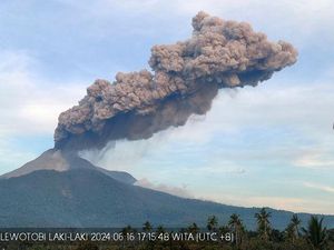 Gunung Lewotobi Meletus, Air Tercemar-Sayuran Tak Bisa Dimakan