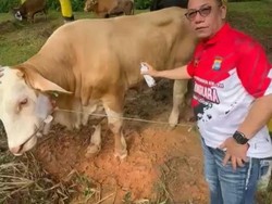 Idul Adha, Kapolda Kepri Kurban 34 Sapi