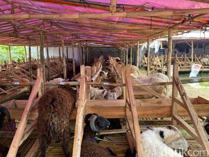 Warga Bandung Kini Bisa Cek Kesehatan Hewan Kurban Lewat Ponsel