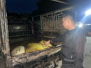 Polisi Tangkap 5 Ninja Sawit di PTPN IV Labusel, 2 Pelaku Ditembak