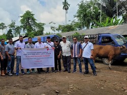 Perusahaan Sawit di Muba Berkurban 14 Sapi, Dibagikan ke Masyarakat Desa