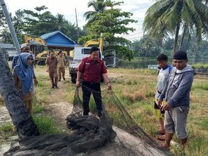 Pemprov Bagikan 3 Ton Ikan Bandeng untuk Warga Bengkulu Pemprov Bagikan 3 Ton Ikan Bandeng untuk Warga Bengkulu