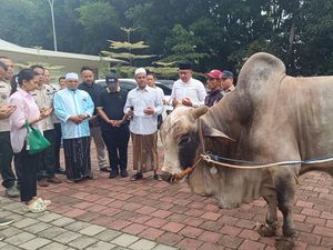 Prabowo Bagikan 48 Sapi Kurban untuk Warga Babakan Madang Bogor