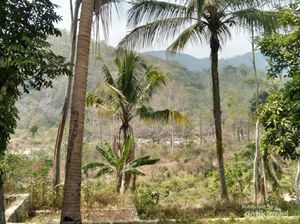 Desa Ini Terdiri dari Kelompok, Bukan Pedukuhan atau Dusun