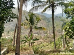 Desa Ini Terdiri dari Kelompok, Bukan Pedukuhan atau Dusun