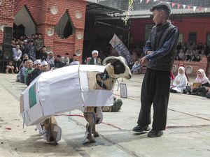 Uniknya Festival Rias Domba Saat Idul Adha