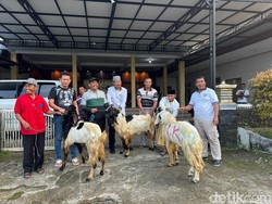 Warga Pakel Banyuwangi Terima 3 Ekor Kambing Kurban