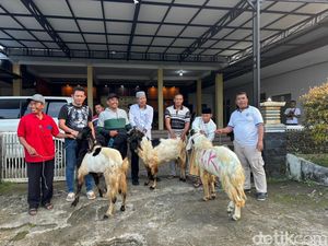 Warga Pakel Banyuwangi Terima 3 Ekor Kambing Kurban Warga Pakel Banyuwangi Terima 3 Ekor Kambing Kurban