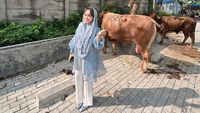 Anyeong dan Haseyo, Dua Sapi Kurban di Cipinang dari Zita Anjani