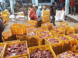 3 Fakta Daging Kurban Menggunung di Banjarnegara, Ada 200 Sapi-468 Kambing