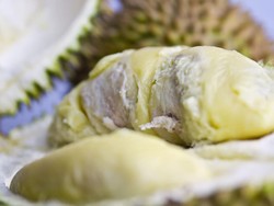 5 Jenis Durian yang Bentuknya Aneh Tapi Rasanya Nikmat