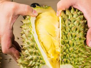 Durian Mengandung Alkohol Tinggi tapi Halal, Ini Penjelasannya Durian Mengandung Alkohol Tinggi tapi Halal, Ini Penjelasannya