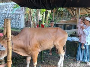 Keren! Bocah TK di Tasikmalaya Kurban dari Hasil Tabungan Sendiri