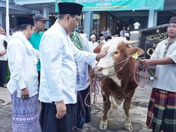 Gus Ipul Serahkan 87 Hewan Kurban ke Masjid di Seluruh Kota Pasuruan