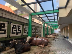 PP Muhammadiyah Terima Kurban 26 Sapi-4 Domba, Tak Semua Disembelih