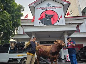 Antusias Idul Adha, DPC PDIP di 38 Daerah Se-Jatim Sembelih Hewan Kurban