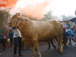 Prediksi Kemenag dan Muhammadiyah Soal Lebaran Idul Adha 2025, Sama atau Beda?
