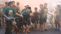 Melihat Tradisi Pawai Hewan Kurban di Malang