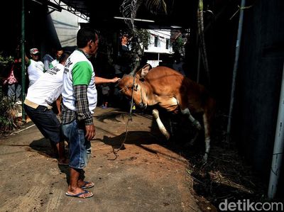 Mengintip Proses Pemotongan Hewan Kurban di Jakarta Selatan