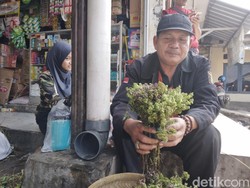 Kesetiaan Ato Puluhan Tahun Jual Bunga Surga di Momen Hari Raya