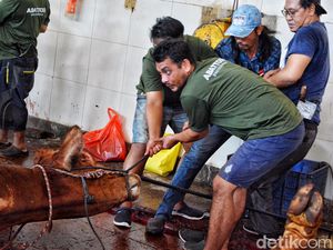 Batas Waktu Penyembelihan Hewan Kurban Batas Waktu Penyembelihan Hewan Kurban