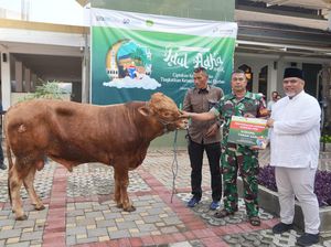 Idul Adha, PGN Bagikan 382 Hewan Kurban di Sekitar Wilayah Operasional