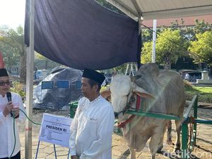 Pj Gubernur Jatim Serahkan Sapi Kurban Jokowi ke Masjid Al-Akbar Surabaya Pj Gubernur Jatim Serahkan Sapi Kurban Jokowi ke Masjid Al-Akbar Surabaya