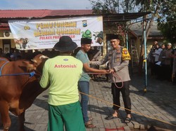 Polisi Berkurban dan Salurkan 9 Sapi-21 Kambing ke Masyarakat Probolinggo