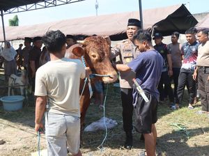 Polisi Sidoarjo Sembelih dan Salurkan 21 Sapi dan 55 Kambing ke Masyarakat Polisi Sidoarjo Sembelih dan Salurkan 21 Sapi dan 55 Kambing ke Masyarakat