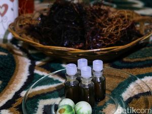 Rahasia di Balik Ramuan Pengobatan Tradisional Mak Erot di Sukabumi Rahasia di Balik Ramuan Pengobatan Tradisional Mak Erot di Sukabumi