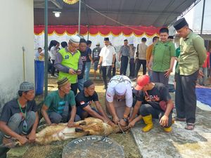 Sembelih 15 Ekor Hewan Kurban, Warga Binaan-Panti Kebagian Berkah Idul Adha