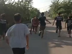 Sapi Kurban di Gresik Lepas Saat Antre Disembelih